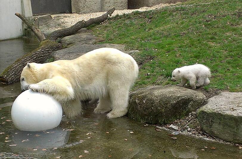 Mama zeigt, wie man mit einem Ball spielt.
