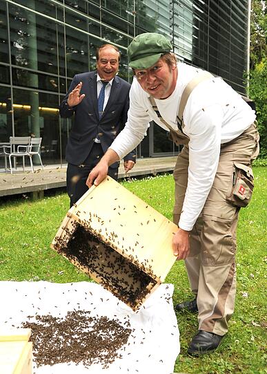 Hausherr Dipl.-Ing. Lutz Heese und Imker Jürgen Dyckerhoff helfen beim Einzug.