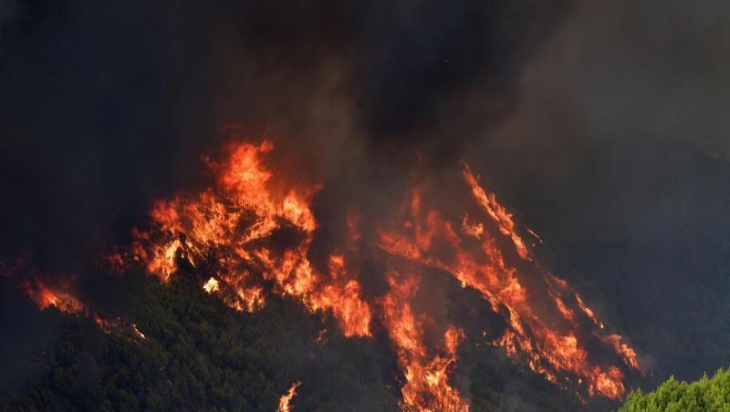 Ein Waldbrand wütet in der Nähe des Ortes Platanos, unweit des antiken Olympia.