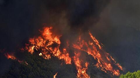 Ein Waldbrand wütet in der Nähe des Ortes Platanos, unweit des antiken Olympia.
