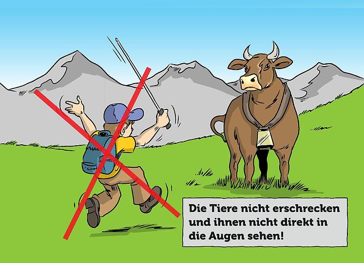 Zum Durchklicken: die Tipps aus dem Folder "Eine Alm ist kein Streichelzoo" der Tiroler Landwirtschaftskammer.