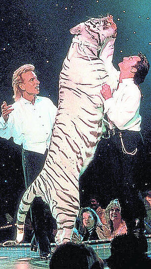 Die Magier Siegfried (l.) und Roy mit einem ihrer weißen Tiger.