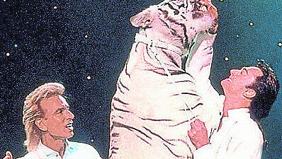 Die Magier Siegfried (l.) und Roy mit einem ihrer weißen Tiger. Die Magier Siegfried (l.) und Roy mit einem ihrer weißen Tiger.