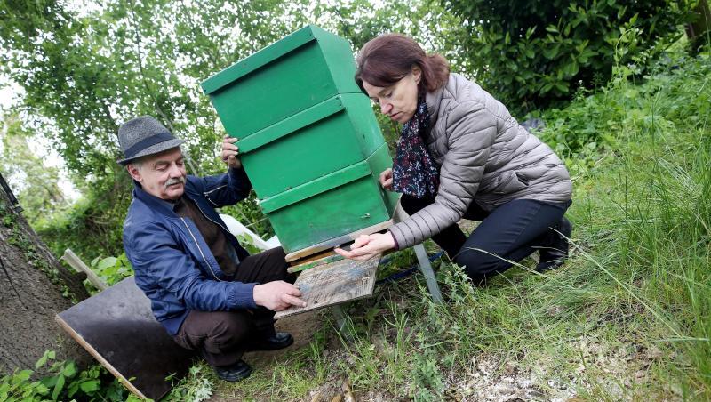 Die Hobby-Imker Frieda (r) und Jakob Janz schauen sich die langsam sterbenden Bienen eines ihrer beiden Bienenstöcke an, vorne rechts im Bild Farbspuren. Die Hobby-Imker Frieda (r) und Jakob Janz schauen sich die langsam sterbenden Bienen eines ihrer beiden Bienenstöcke an, vorne rechts im Bild Farbspuren.