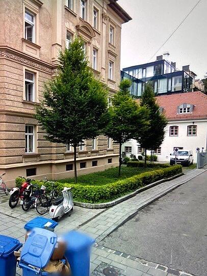 Da stehen die zierlichen Bäume noch. Da stehen die zierlichen Bäume noch.