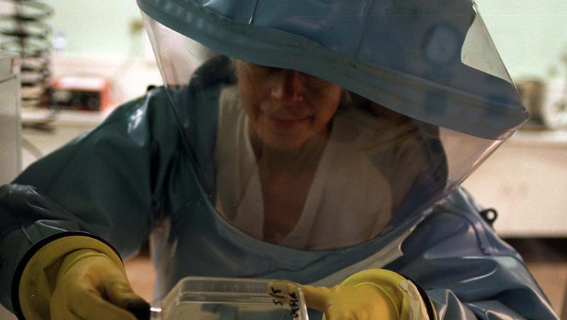 Todbringendes Virus: In Angola sind schon mehr als 100 Menschen am Marburg-Virus gestorben. Todbringendes Virus: In Angola sind schon mehr als 100 Menschen am Marburg-Virus gestorben.
