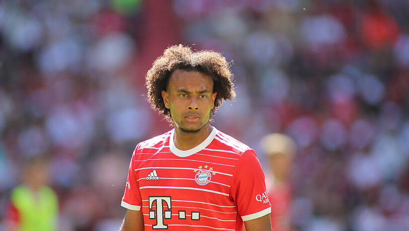 Joshua Zirkzee geht ab jetzt in Italien auf Torejagd – gibt es sonst noch Wechsel beim FC Bayern?