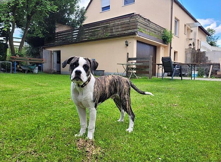 Finley