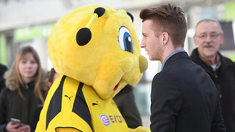 Mit den besten Wünschen von BVB-Maskottchen "Emma" geht's für Marco Reus und den restlichen Tross von Borussia Dortmund zum Achtelfinal-Hinspiel der Champions League nach Lissabon.