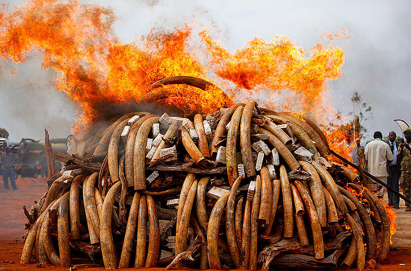 In Malawi wurden sieben Menschen bei lebendigem Leib verbrannt.