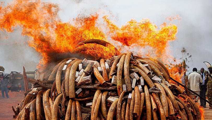 In Malawi wurden sieben Menschen bei lebendigem Leib verbrannt. In Malawi wurden sieben Menschen bei lebendigem Leib verbrannt.