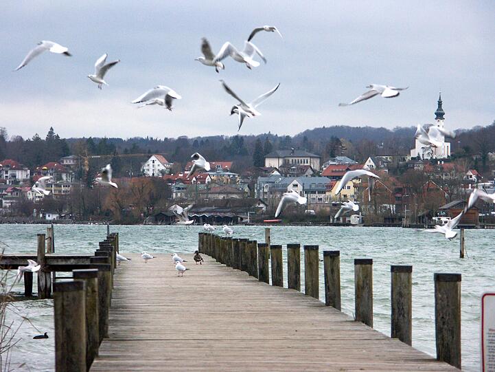 Spitzenreiter bei den Immobilien-Presien: Die Stadt Starnberg gehört zu den teuersten Orten.