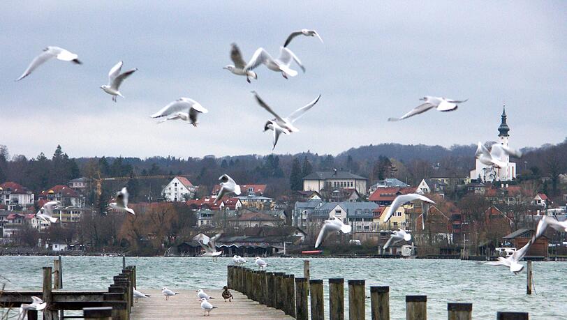 Spitzenreiter bei den Immobilien-Presien: Die Stadt Starnberg gehört zu den teuersten Orten. Spitzenreiter bei den Immobilien-Presien: Die Stadt Starnberg gehört zu den teuersten Orten.