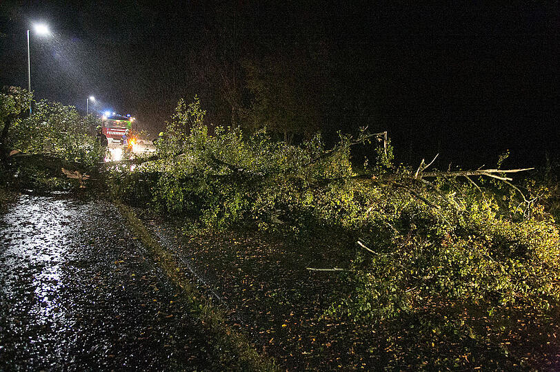 Die Feuerwehr in Bayern hatte mit zahlreichen umgestürzten Bäumen zu kämpfen. Teilweise wurden die Bäume mit Unterstützung der Landwirte von den Straßen geräumt.