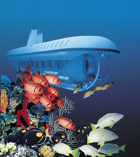 Tolle Kulissen entdecken die Teilnehmer an Bord der Atlantis Submarine