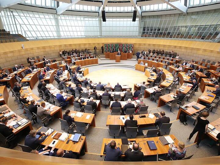 Ein Abgeordneter spricht im Plenarsaal des Landtages. Foto: Roland Weihrauch/Archivbild