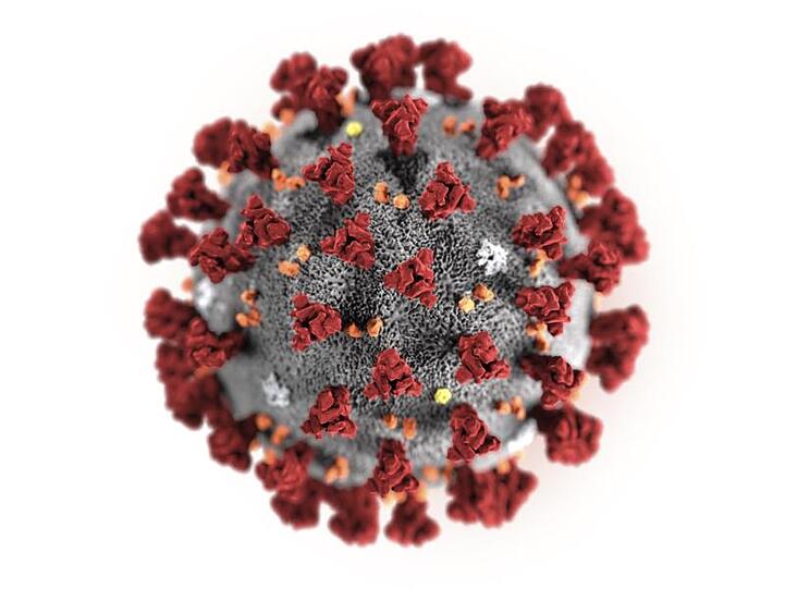 Diese Illustration zeigt das 2019 Novel Coronavirus (2019-nCoV). Foto: Centers for Disease Control and Prevention/AP/dpa/Symbolbild