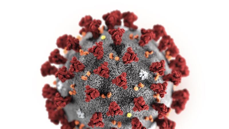 Diese Illustration zeigt das 2019 Novel Coronavirus (2019-nCoV). Foto: Centers for Disease Control and Prevention/AP/dpa/Symbolbild Diese Illustration zeigt das 2019 Novel Coronavirus (2019-nCoV). Foto: Centers for Disease Control and Prevention/AP/dpa/Symbolbild