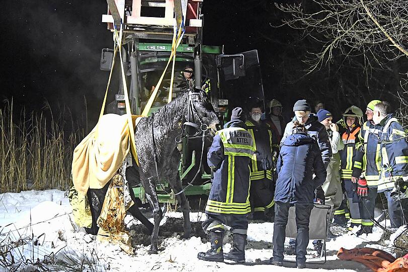 Eine Reiterin war am Montagnachmittag mit der Stute Shakira ausgeritten und dann nahe der Mündung in den Staudhamer See mit dem Tier in das Eis eines zufließenden Baches eingebrochen.
