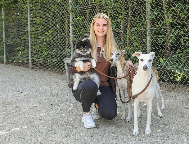 Hannah Hollermeier (25) hat eine Hotelfach-Ausbildung. Sie bietet auch Gassi-Service für die Hotelhunde. Hier ist sie mit Zwergspitz Paco und den beiden Whippets Homer und Sheldon (v.l.) unterwegs. Hannah Hollermeier (25) hat eine Hotelfach-Ausbildung. Sie bietet auch Gassi-Service für die Hotelhunde. Hier ist sie mit Zwergspitz Paco und den beiden Whippets Homer und Sheldon (v.l.) unterwegs.