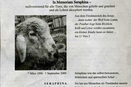 Mit dieser Anzeige in der &bdquo;Süddeutschen Zeitung&ldquo; erinnert Fricke an den Todestag seines Schafes Seraphina vor einem Jahr.