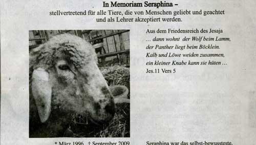 Mit dieser Anzeige in der „Süddeutschen Zeitung“ erinnert Fricke an den Todestag seines Schafes Seraphina vor einem Jahr. Mit dieser Anzeige in der „Süddeutschen Zeitung“ erinnert Fricke an den Todestag seines Schafes Seraphina vor einem Jahr.