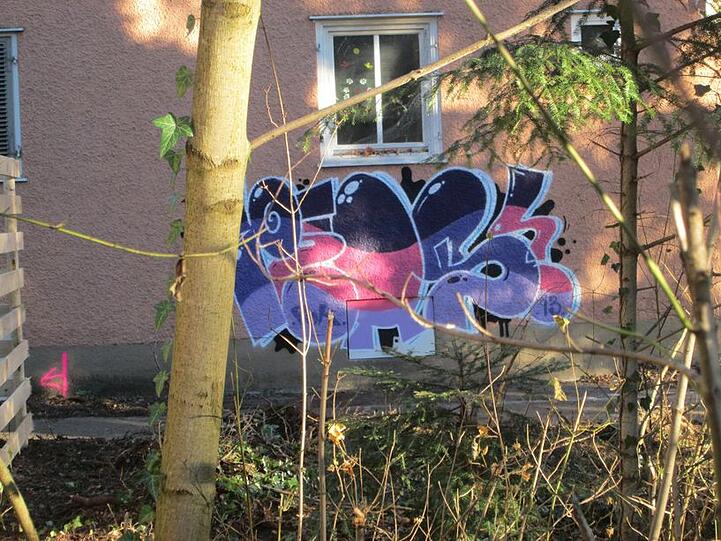 Graffiti-Künstler haben im Harthof Abrisshäuser gekonnt verschönert.