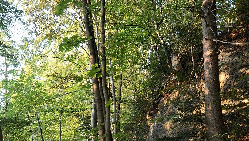 Unterhalb der Hochleite kann man an den Felsen vorbeispazieren. Unterhalb der Hochleite kann man an den Felsen vorbeispazieren.