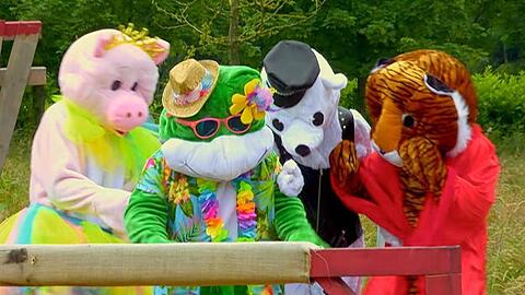Nicht nur auf dem Spielfeld, sondern auch bei den Beleidigungen wird es im "Sommerhaus"-Finale tierisch.
