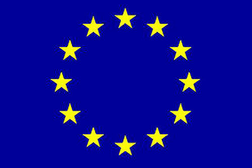 Am 7. Juni bestimmen die Europäer über ihre Zukunft.