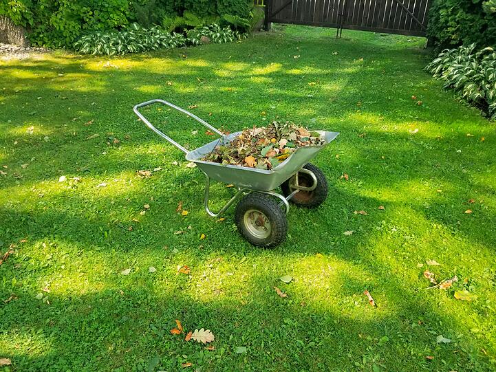 Ende September sammeln sich schon die ersten Blätter im Garten. Anstatt sie auf penible Weise wegzuräumen, lässt sich das Laub clever nutzen: als schützende Decke für Beete oder als nährstoffreiche Lage im Kompost. Nur der Rasen mag keine dicke Blätterschicht - hier sollte regelmäßig gerecht werden, damit das Gras atmen kann. Im September hält sich der Aufwand aber noch in Grenzen. Ende September sammeln sich schon die ersten Blätter im Garten. Anstatt sie auf penible Weise wegzuräumen, lässt sich das Laub clever nutzen: als schützende Decke für Beete oder als nährstoffreiche Lage im Kompost. Nur der Rasen mag keine dicke Blätterschicht - hier sollte regelmäßig gerecht werden, damit das Gras atmen kann. Im September hält sich der Aufwand aber noch in Grenzen.