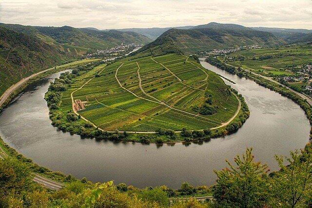 Mosel: Die Weinberge an der Moselschleife von Bremm sind die steilsten Europas