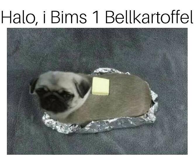 Die Bellkartoffel