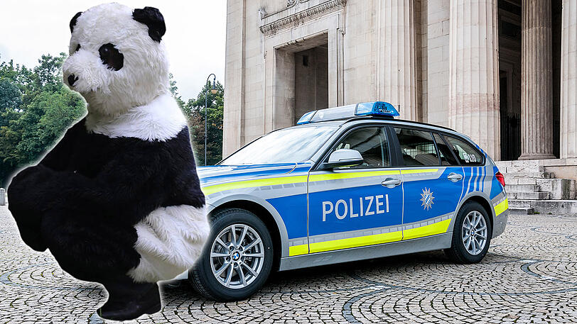 Die Männer setzten sich in ihren Panda-Kostümen auf die Motorhauben und beschädigten diese dadurch.