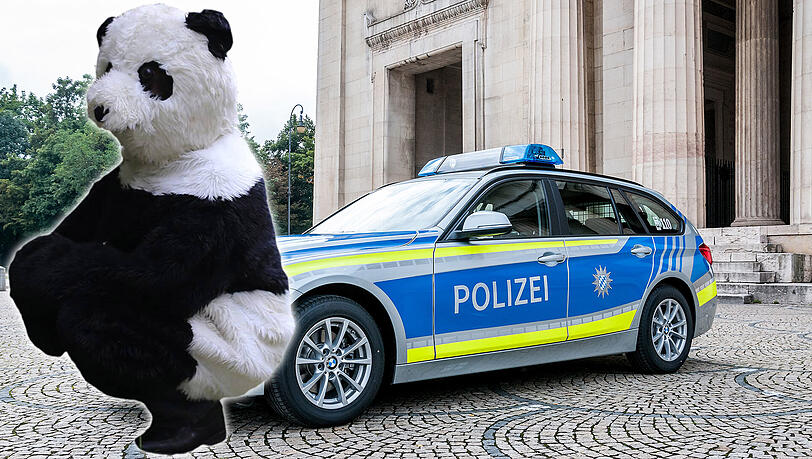 Die Männer setzten sich in ihren Panda-Kostümen auf die Motorhauben und beschädigten diese dadurch. Die Männer setzten sich in ihren Panda-Kostümen auf die Motorhauben und beschädigten diese dadurch.