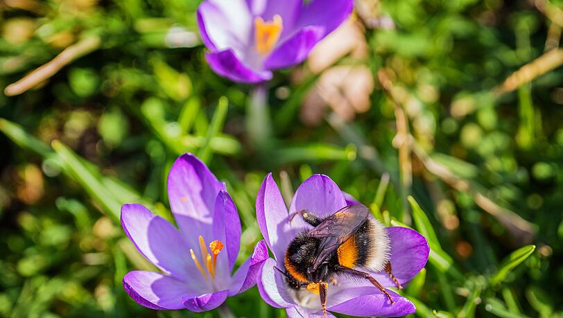 Das Wochenende bringt milde Temperaturen und viel Sonnenschein.