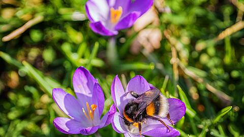 Das Wochenende bringt milde Temperaturen und viel Sonnenschein.