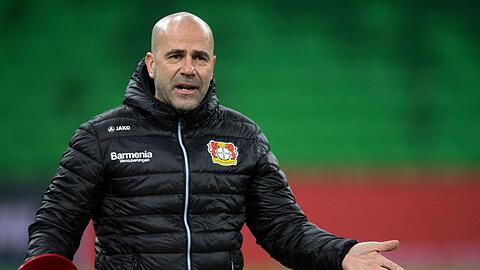 Gibt sein Comeback auf internationaler Bühne: Bayer-Coach Peter Bosz.