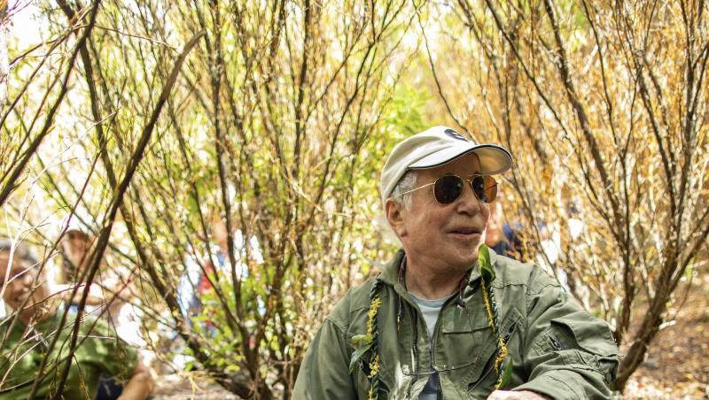 Der Musiker Paul Simon im Wald. Der Musiker Paul Simon im Wald.