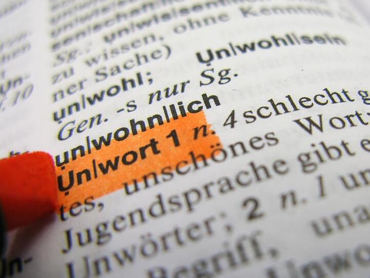 Seit 1991 wird das "Unwort des Jahres" gekürt.