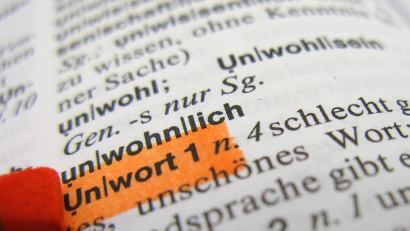 Seit 1991 wird das "Unwort des Jahres" gekürt. Seit 1991 wird das "Unwort des Jahres" gekürt.