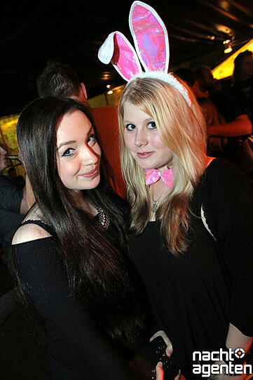 Im Roxx orientierte man sich schon mehr an den Osterfeiertagen. Passen wurde zu "Rock Bunnys Roxx" gefeiert. Mehr Bilder unter: href="http://www.nachtagenten.de/event/19.04.2014/club-roxx/rock-bunnys-roxx.301340.html