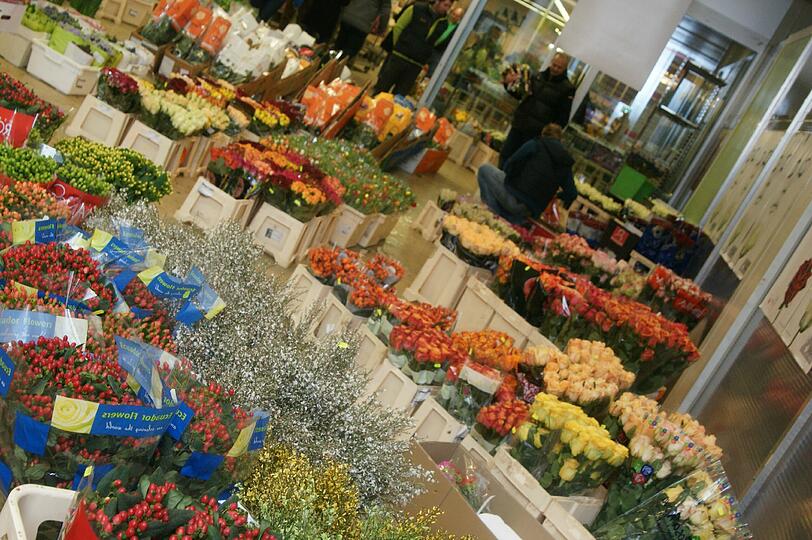 Blütenpracht auf dem Blumengroßmarkt in der Schäftlarnstraße. In der Halle ist es sehr kalt, damit die Blumen länger frisch bleiben.
