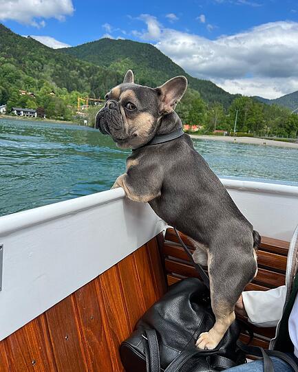 Paco