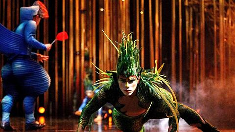 &bdquo;Varekai&ldquo; &ndash; da klingt der Name der Show schon nach einer schönen Echse, bedeutet aber &bdquo;wo auch immer&ldquo; auf Rumänisch.