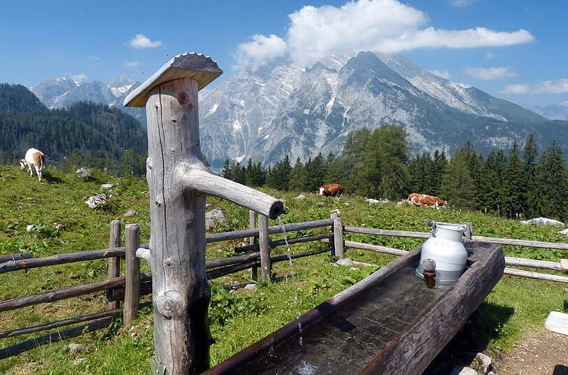 Durch die anhaltende Hitze herrscht auf manchen Almen Wassermangel.