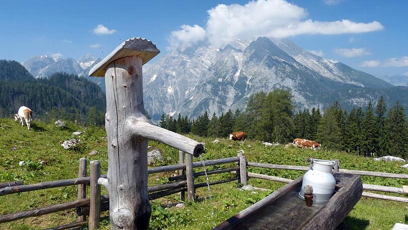 Durch die anhaltende Hitze herrscht auf manchen Almen Wassermangel. Durch die anhaltende Hitze herrscht auf manchen Almen Wassermangel.