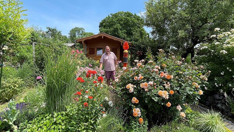 Hubert Kühling (68) in seinem Rosen-Meer. Hubert Kühling (68) in seinem Rosen-Meer.