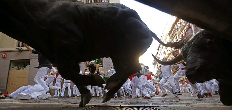 Bilder vom Stiertreiben in Pamplona!