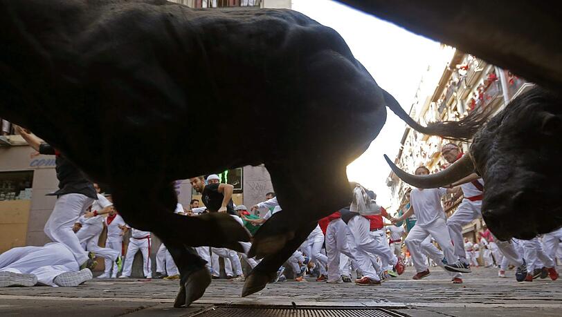 Bilder vom Stiertreiben in Pamplona! Bilder vom Stiertreiben in Pamplona!